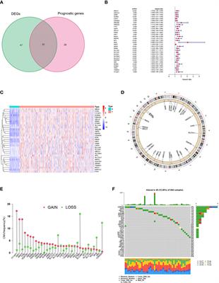 Comprehensive characterization of ferroptosis in hepatocellular carcinoma revealing the association with prognosis and tumor immune microenvironment